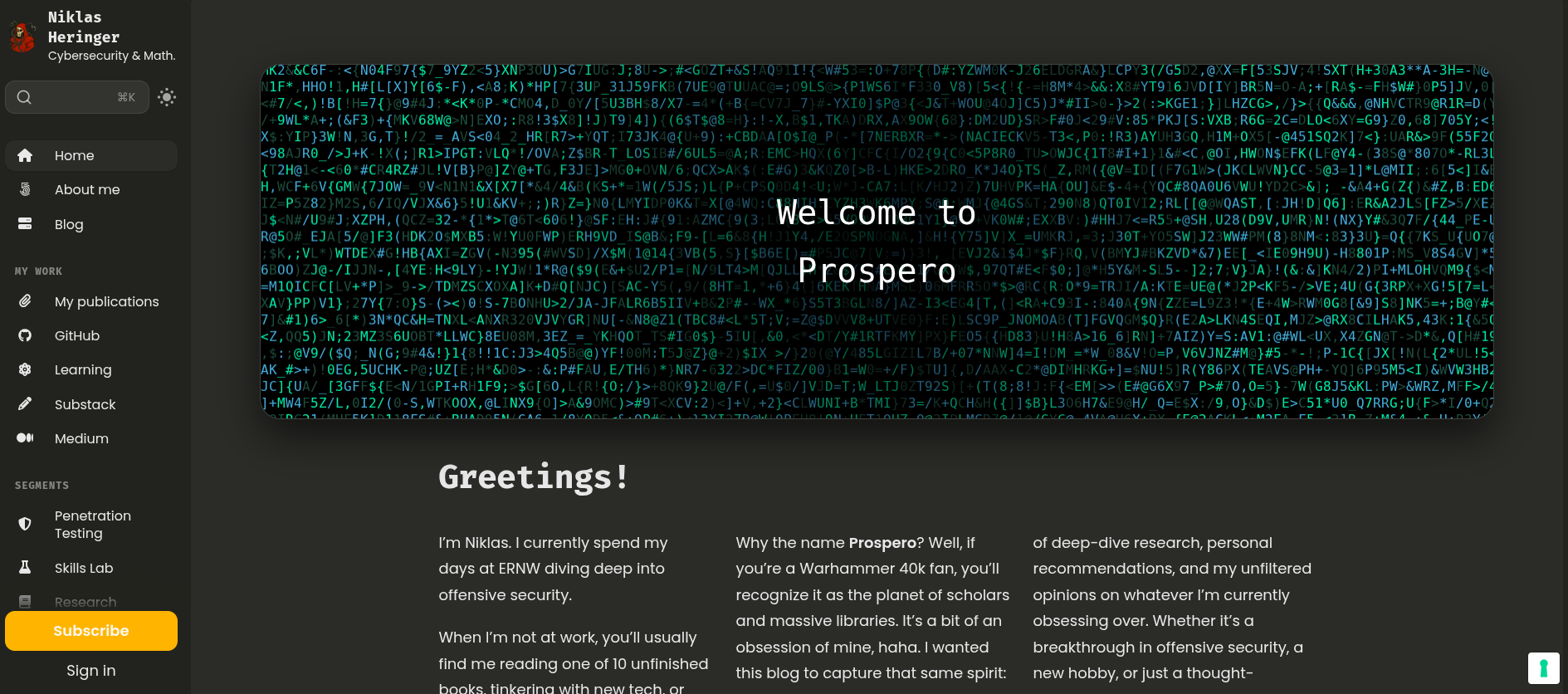 niklas-heringer.com Screenshot